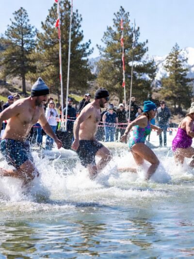 Polar Plunges & Group Events